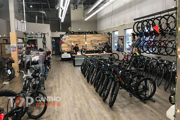 TOP 10+ cửa hàng xe đạp tại Cần Thơ chất lượng cao
