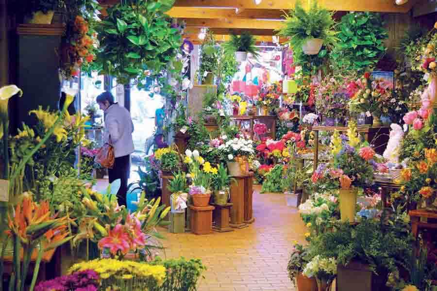 Địa chỉ bán hoa tươi giá rẻ tại Cần Thơ